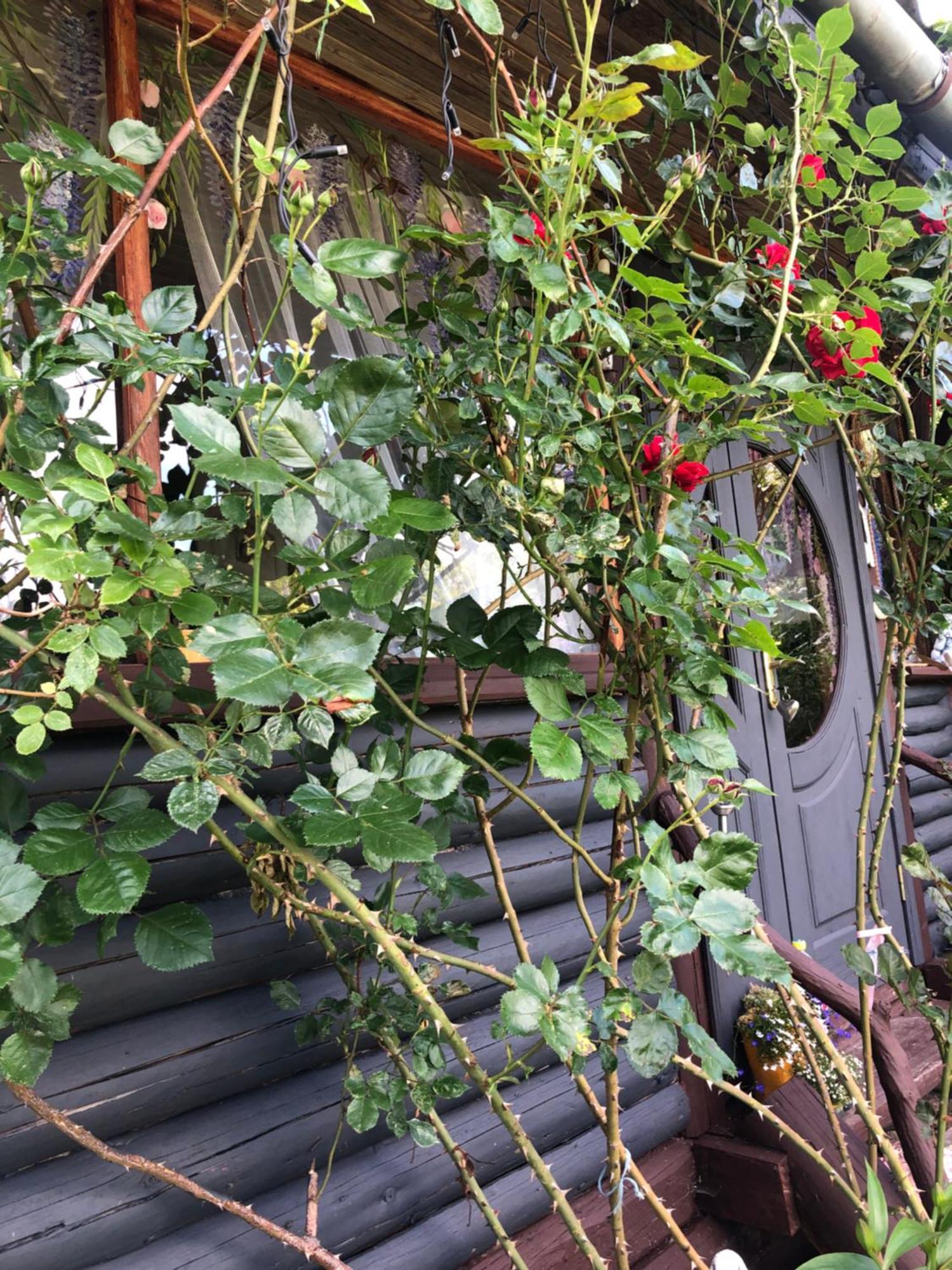 Казковий Дім Та Garden Два Будиночки В Горах З Чаном-Джакузі 슬랍스크 외부 사진
