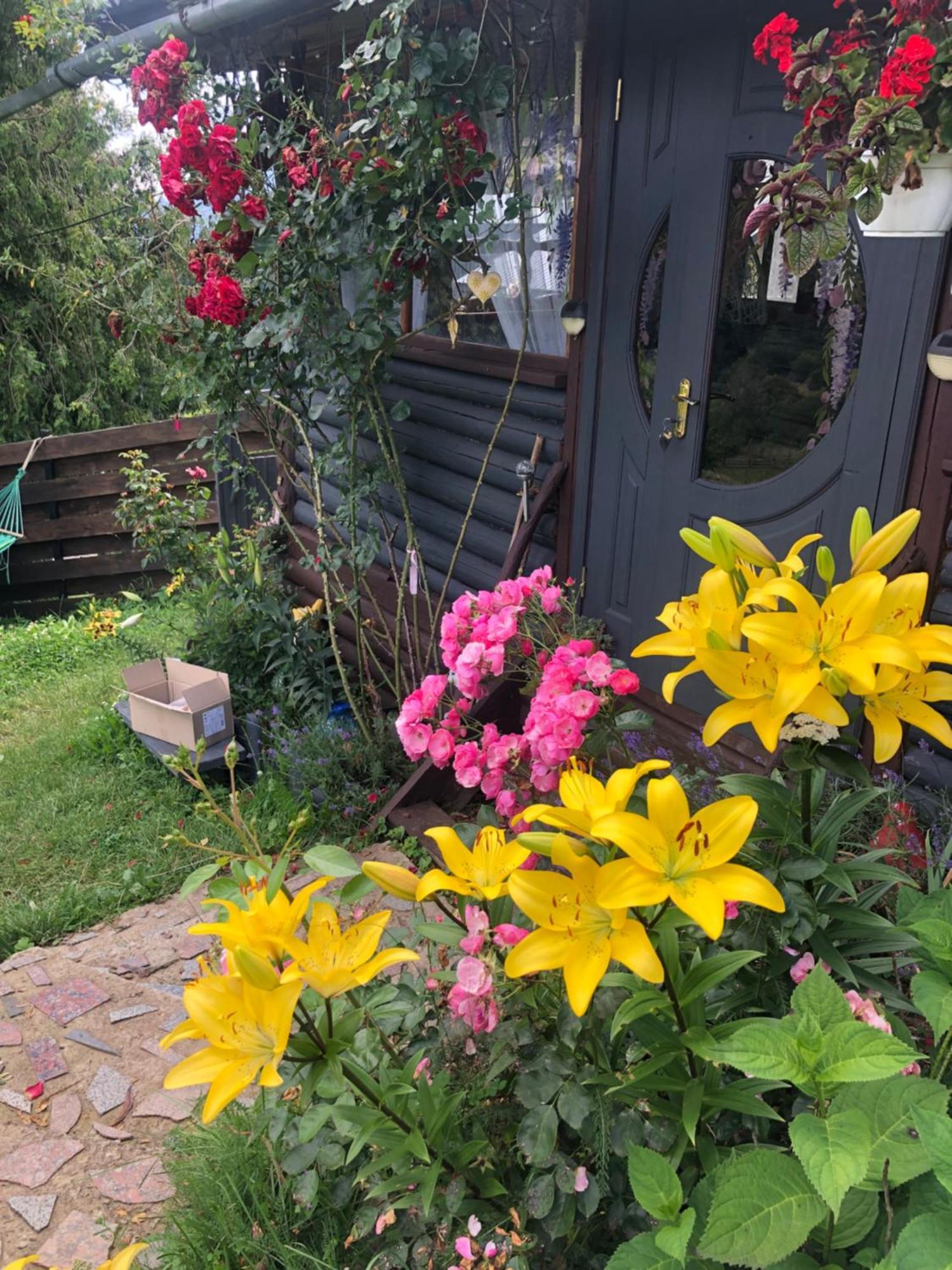 Казковий Дім Та Garden Два Будиночки В Горах З Чаном-Джакузі 슬랍스크 외부 사진